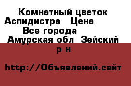 Комнатный цветок Аспидистра › Цена ­ 150 - Все города  »    . Амурская обл.,Зейский р-н